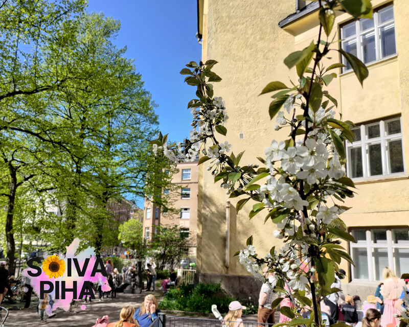 Kuvassa etualalla on tarkennettuna nuoren omenapuun kukinta. Taustalla kuvassa näkyy keltaisen kivitalon (Ebeneser-talo) seinää ja ikkunoita sekä talon edustalla on ihmisiä aurinkoisen keväisenä päivänä. Talon edustalla on myös korkeita puita, lehmuksia, joiden lehdet ovat juuri puhjenneet ja ovat sen vuoksi kirkkaan vihreitä.